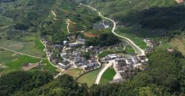 陆续陆续的图片