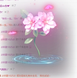 萌新糯米团团的图片