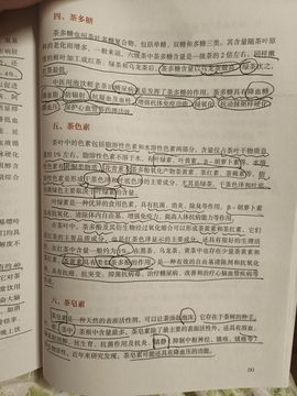 茶茶幸运星的图片