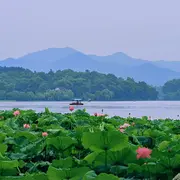 明明白嫖