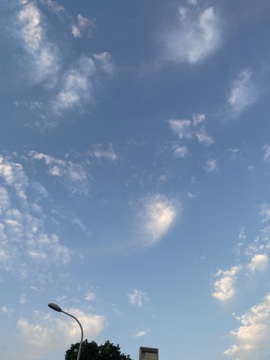 ღ柳柒柒昭禾见月✨主播照片