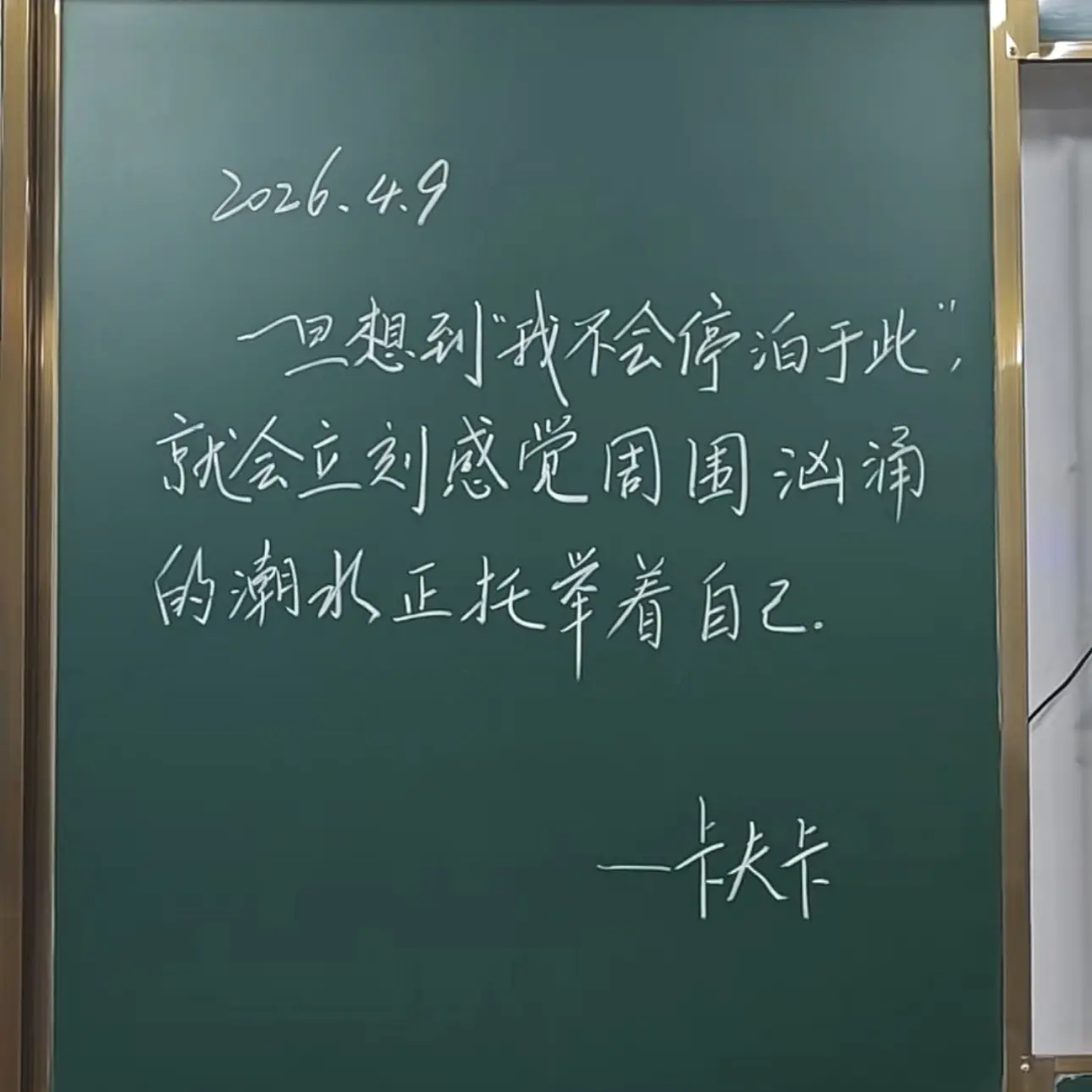 娜扎🧸休主播图片