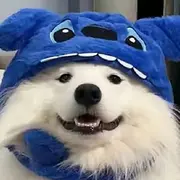积极爆