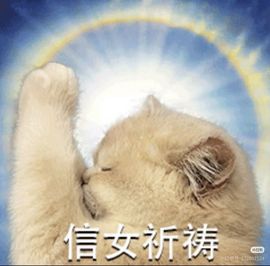 安二狗🐶的图片