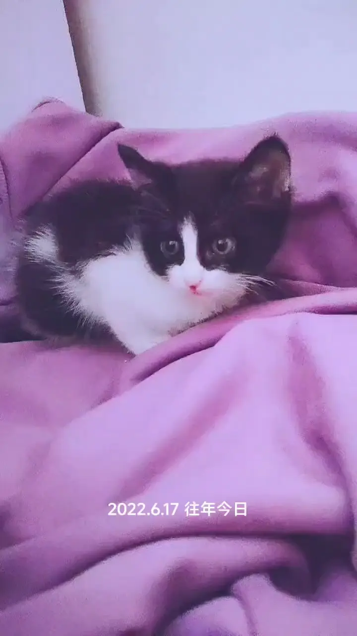 萌宠宝宝👶🏻