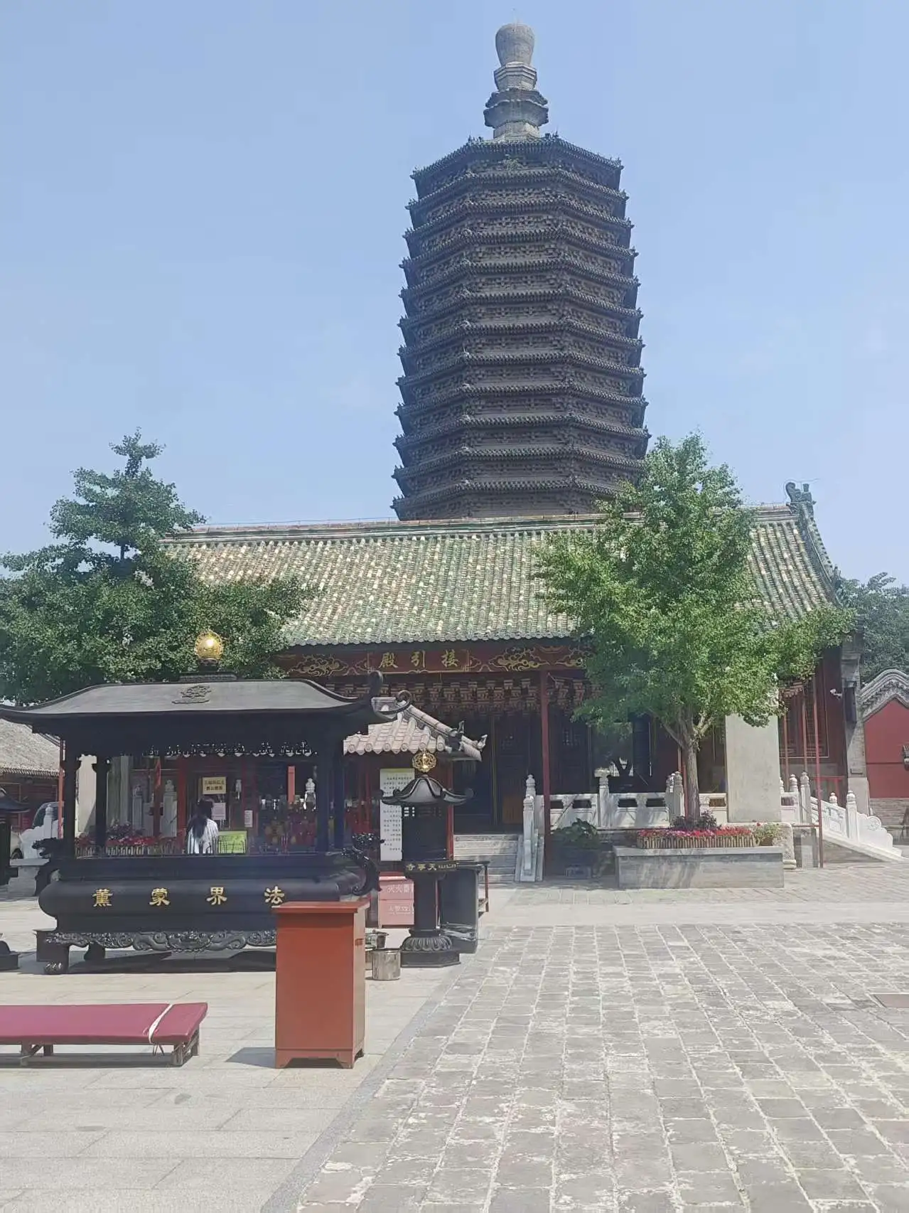 萌新宝宝chblld主播图片