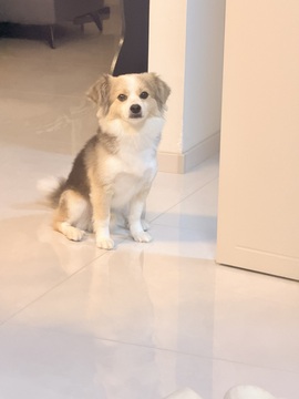 小小鱼🐬一点半播的图片