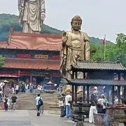 凤渡❤️青汁