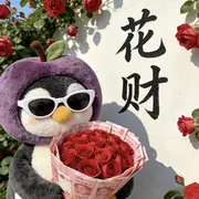 凉拌玛卡巴卡🌈的用户头像