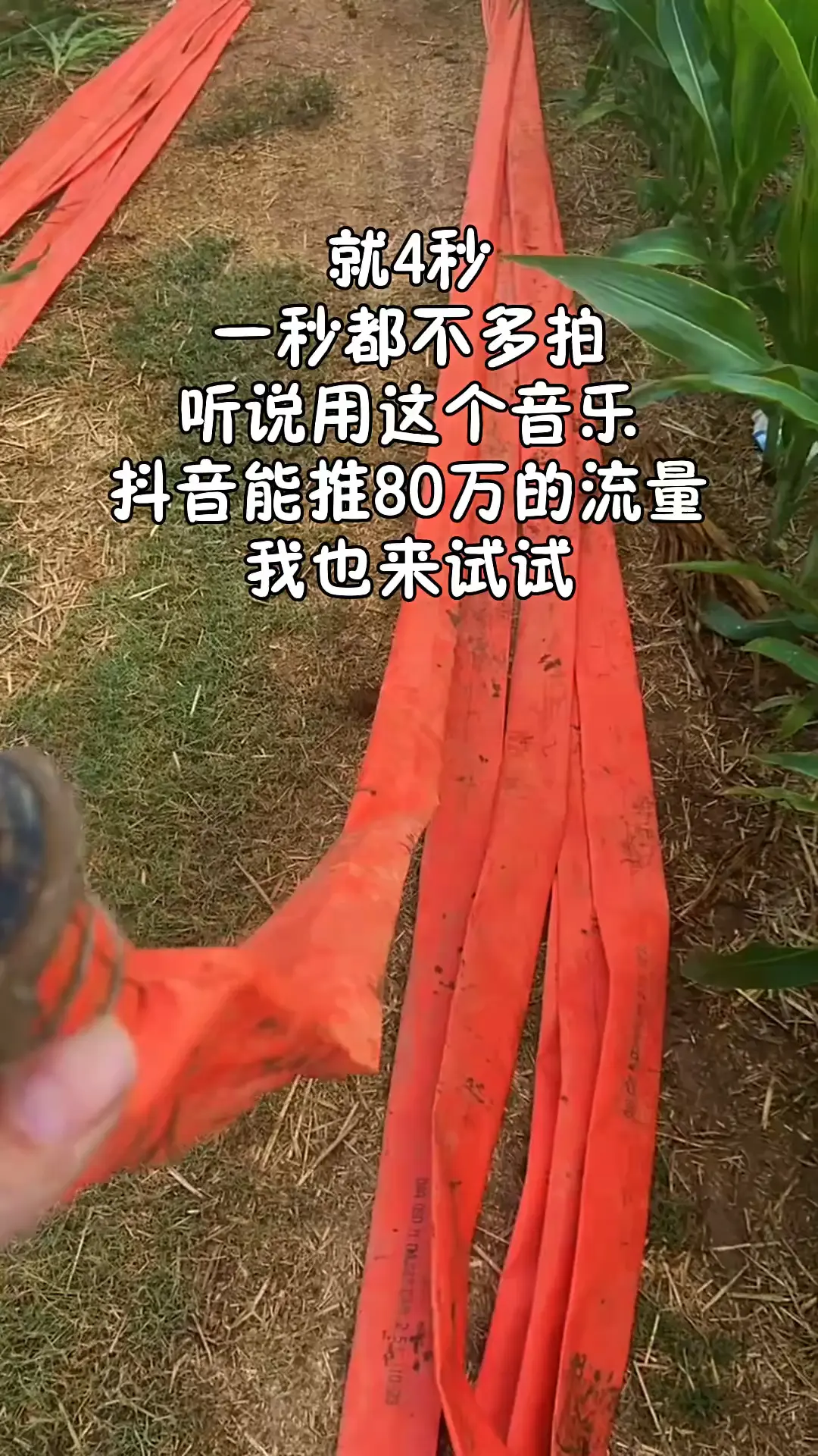 我没偷懒，我去干活去