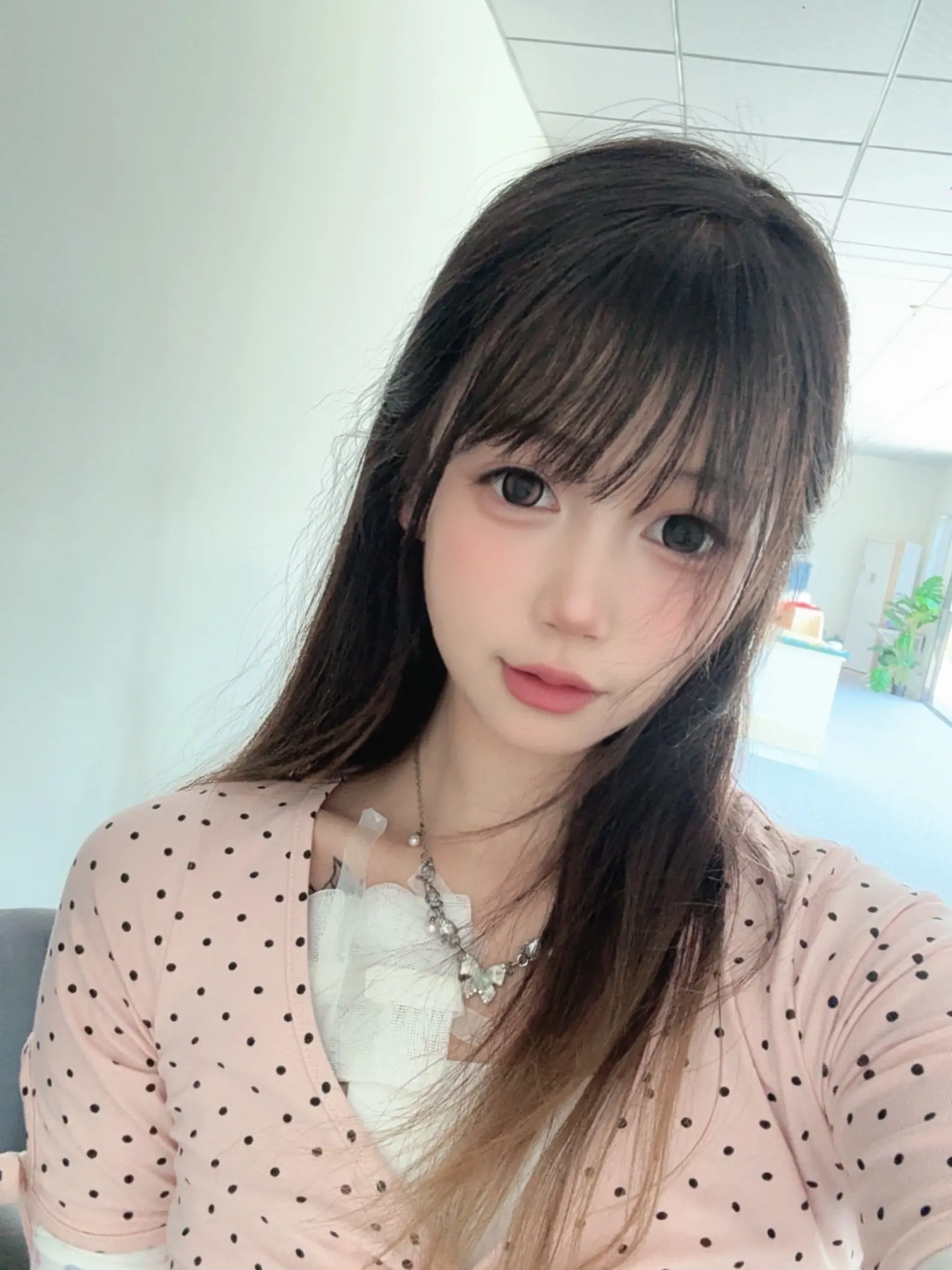 呆呆宝宝🍼主播图片