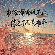 ⚕️脑袋电量不足☄️的用户头像