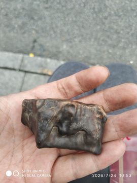 杀止若的图片