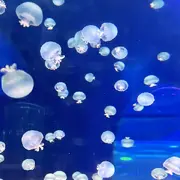 想你的每一夜ꫛꫀꪝ