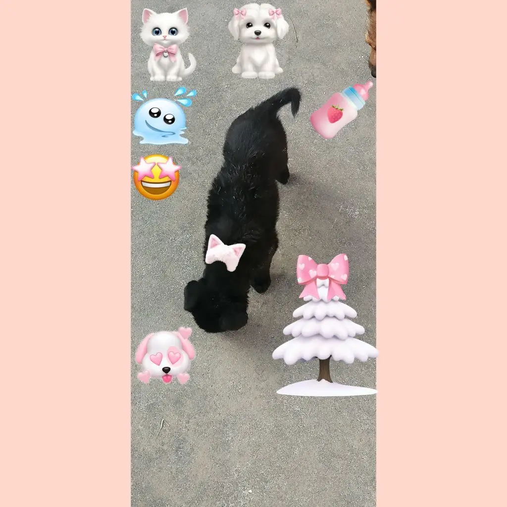 馨妍.🦄主播图片