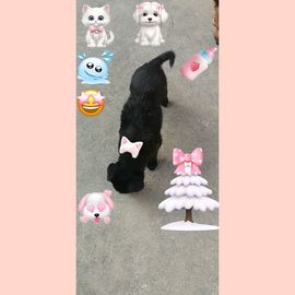 馨妍.🦄的图片