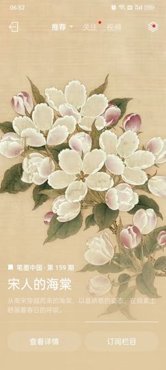 柠宝家小龙，战龙的图片
