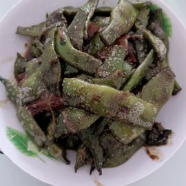 仙仙🎤唱歌的图片