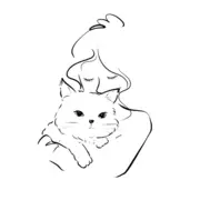 辣妹晓晓