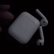 牛🐮🐴马