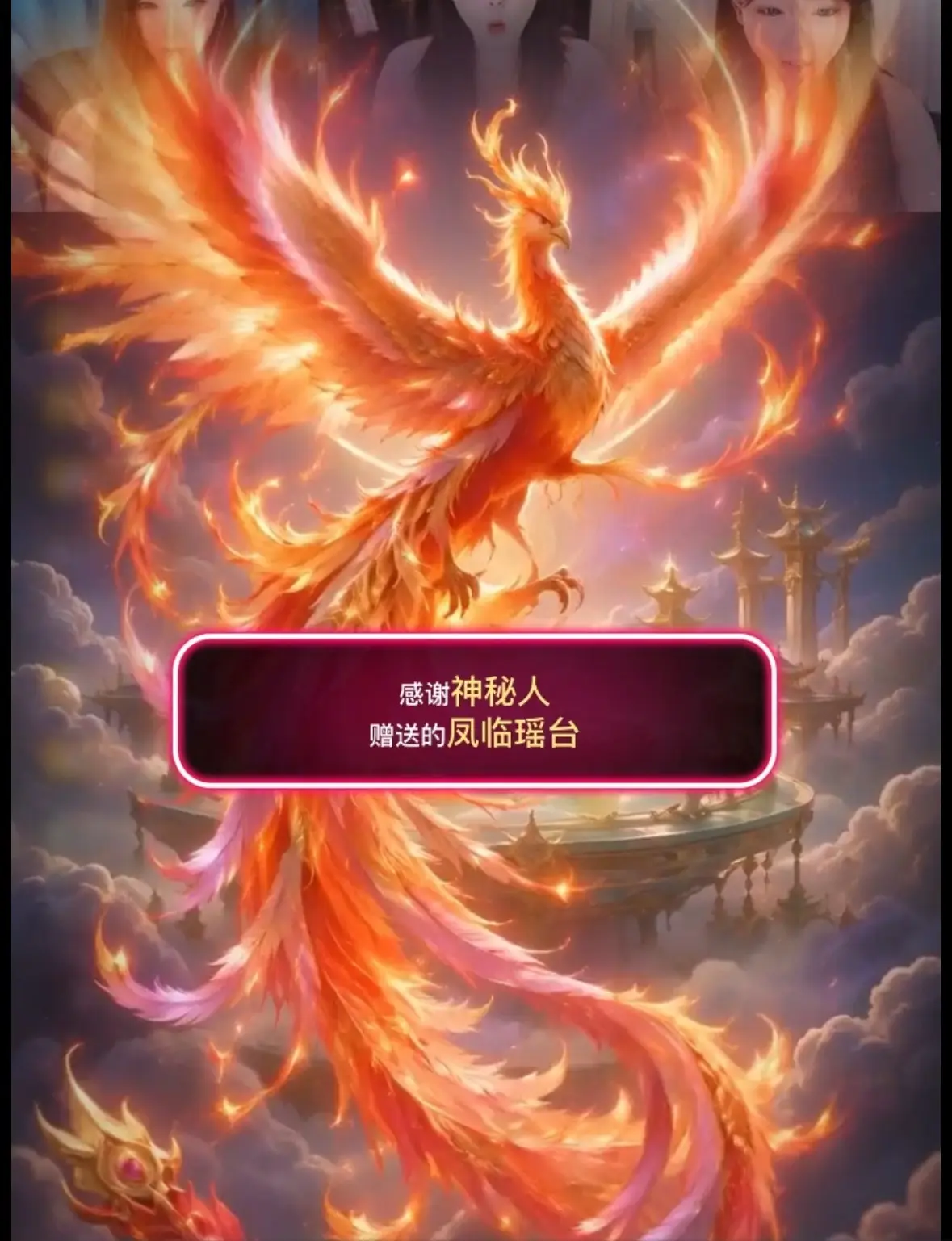 海苔。。的主播照片