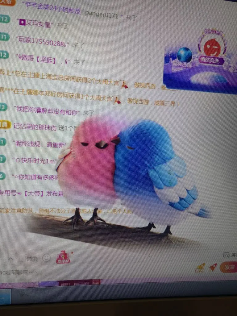 99。偏爱一直在主播图片