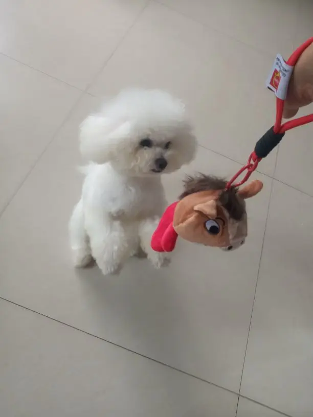 ℋ菲💋主播图片