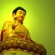 王爷爱美女一生一世。