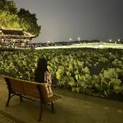 爱到尽头亦无悔