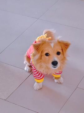 っ梨儿っ的图片