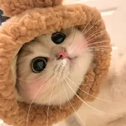 小🦐虾🦐米