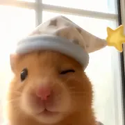 苏杳yao~头像
