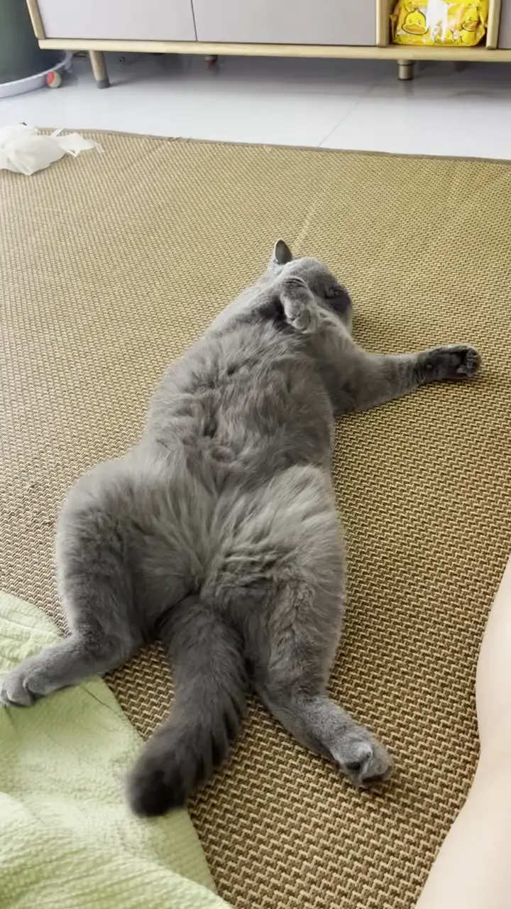 悠哉悠哉