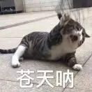 Ev5d