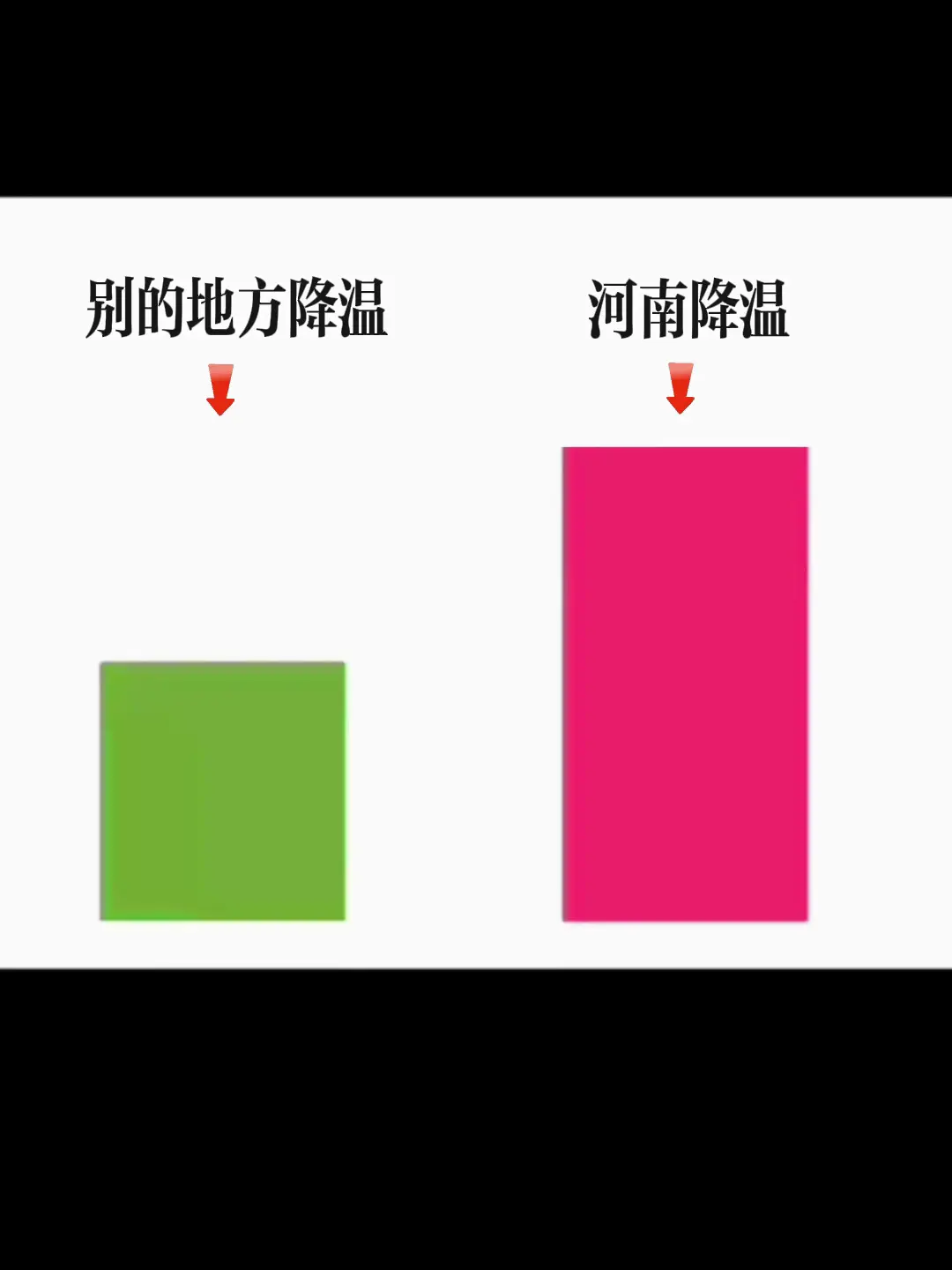 /狗狗