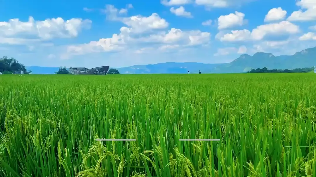 如果顺路的话，我们就