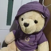 我是爱吃蜂蜜的熊二