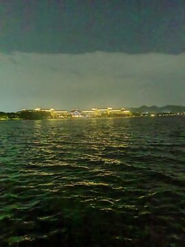 天王盖地虎虎044的图片