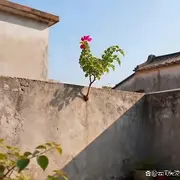 薪ꦿ满亿足