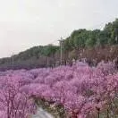 令狐昌勇