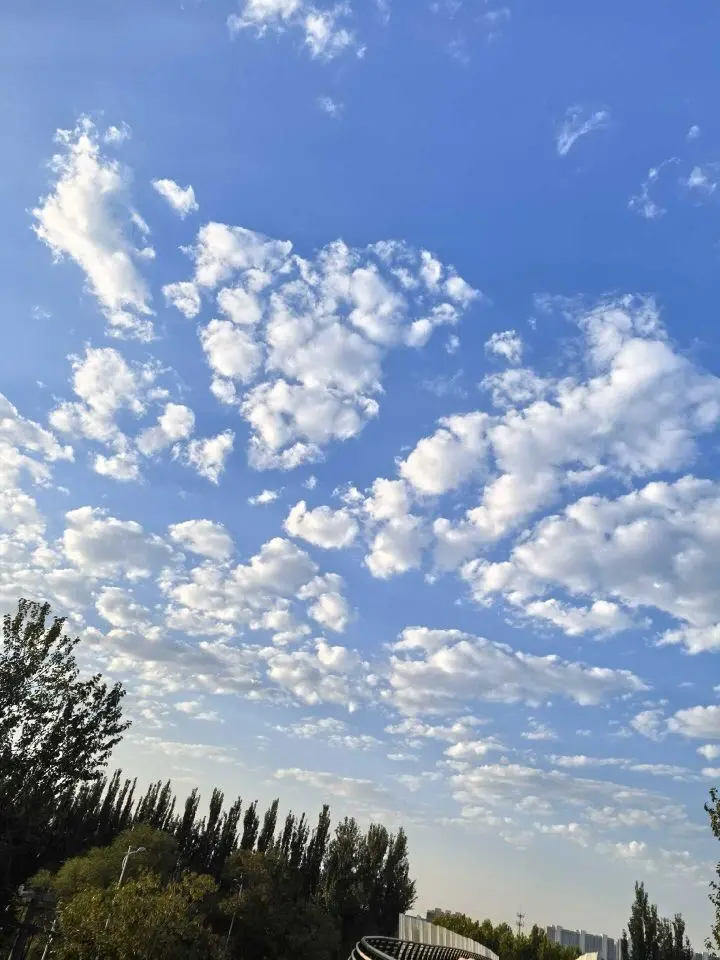 天王盖地虎虎044主播图片