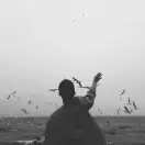 阿哈哈哈gQe