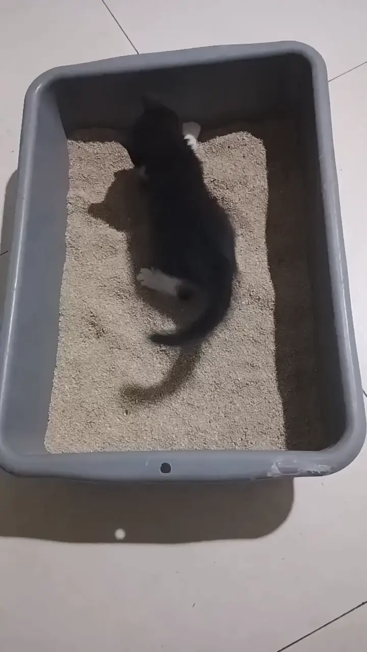 我的小可爱！