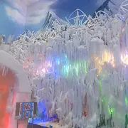 傻瓜coA