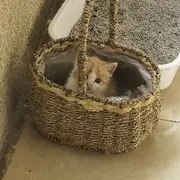 姥→宫