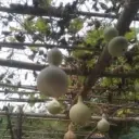 春雨⊙o⊙有意