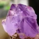 ‥♡棉花糖♥‥