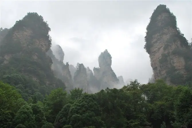 当土豆爱上西红柿的主播照片
