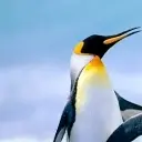 海边小村