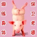 不知疲倦的追逐快乐